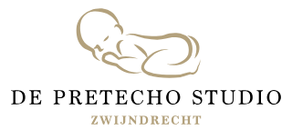 Pretecho Studio